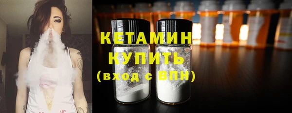 прущие грибы Абаза