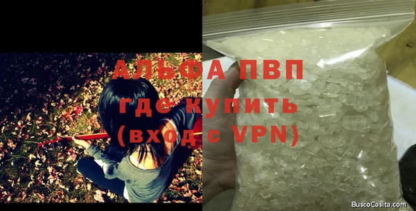 прущие грибы Абаза