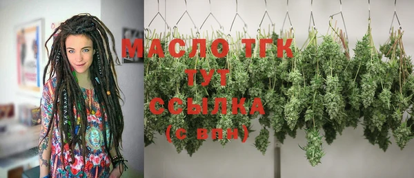 прущие грибы Абаза