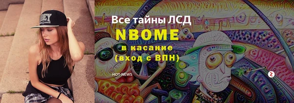 прущие грибы Абаза