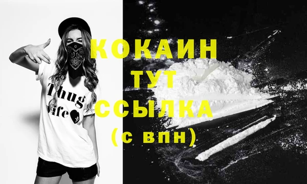 прущие грибы Абаза