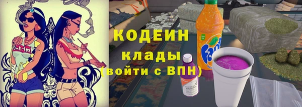 прущие грибы Абаза