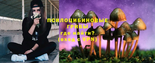 прущие грибы Абаза