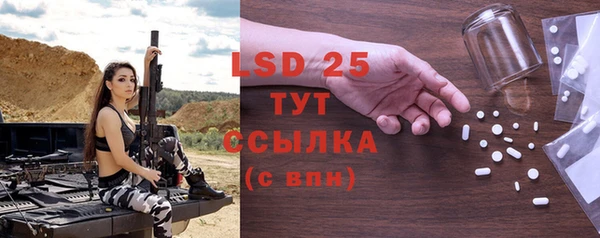 прущие грибы Абаза