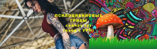 первитин Абинск