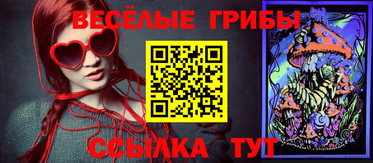 Галлюциногенные грибы Magic Shrooms  Псилоцибиновые грибы Psilocybine cubensis  Ирбит  Вход с VPN 